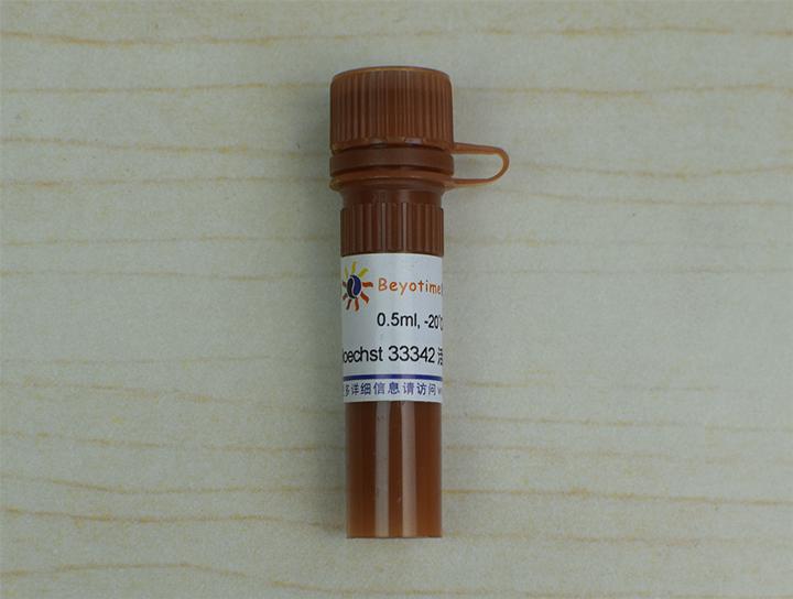 Hoechst 33342活细胞染色液(100X)